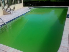 green pool
